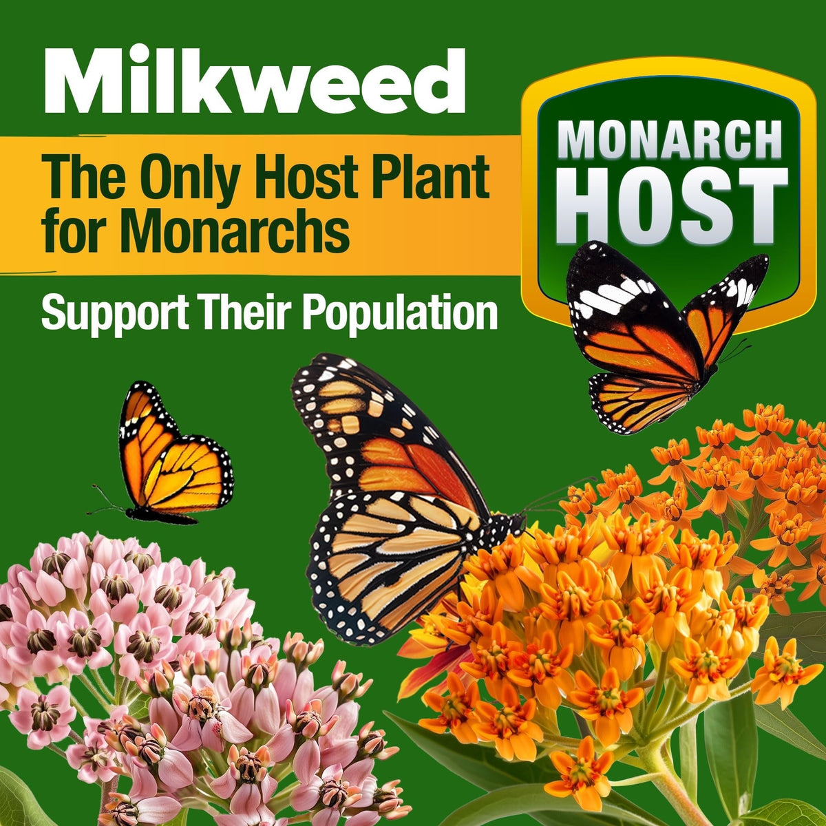 Monarch Butterfly Wildflower Mix - 20,000+ Seeds (2 oz) - With Milkweed