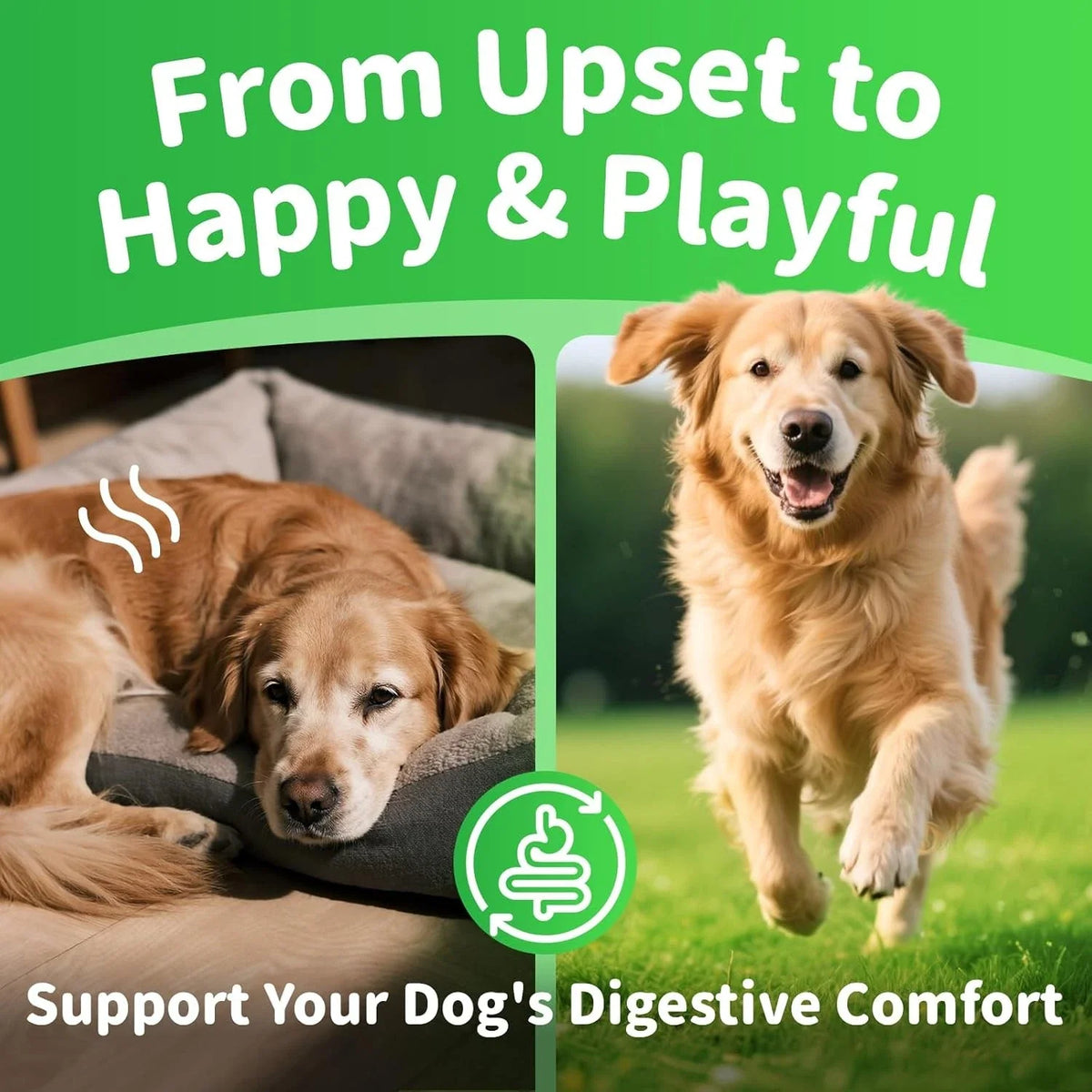 Dog Probiotics Digestive Enzymes,Pumpkin Fiber Chews For Gut Health, Constipatio