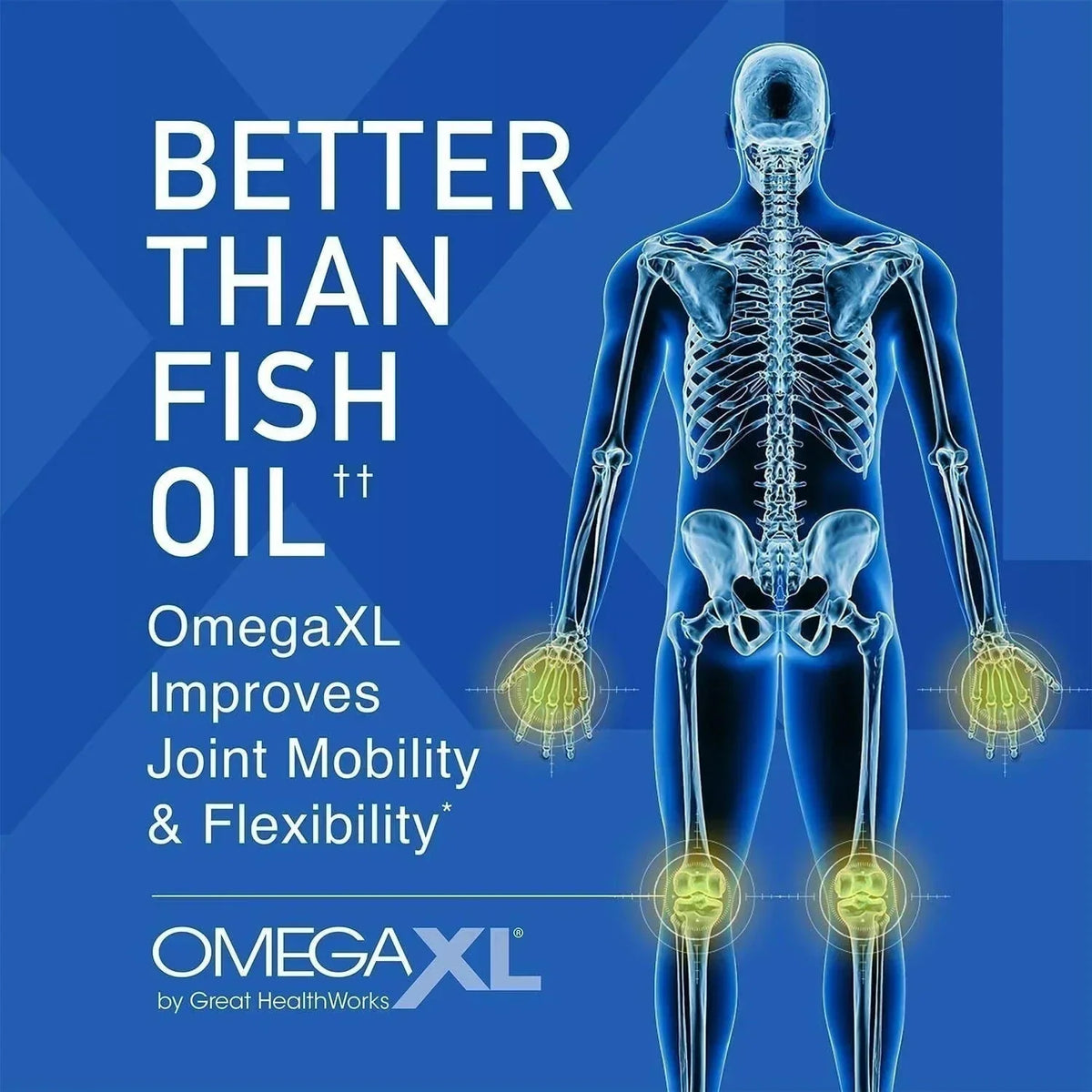 3pk Omega XL 120 Capsules Green Lipped Mussel Omega-3 Joint Relief New