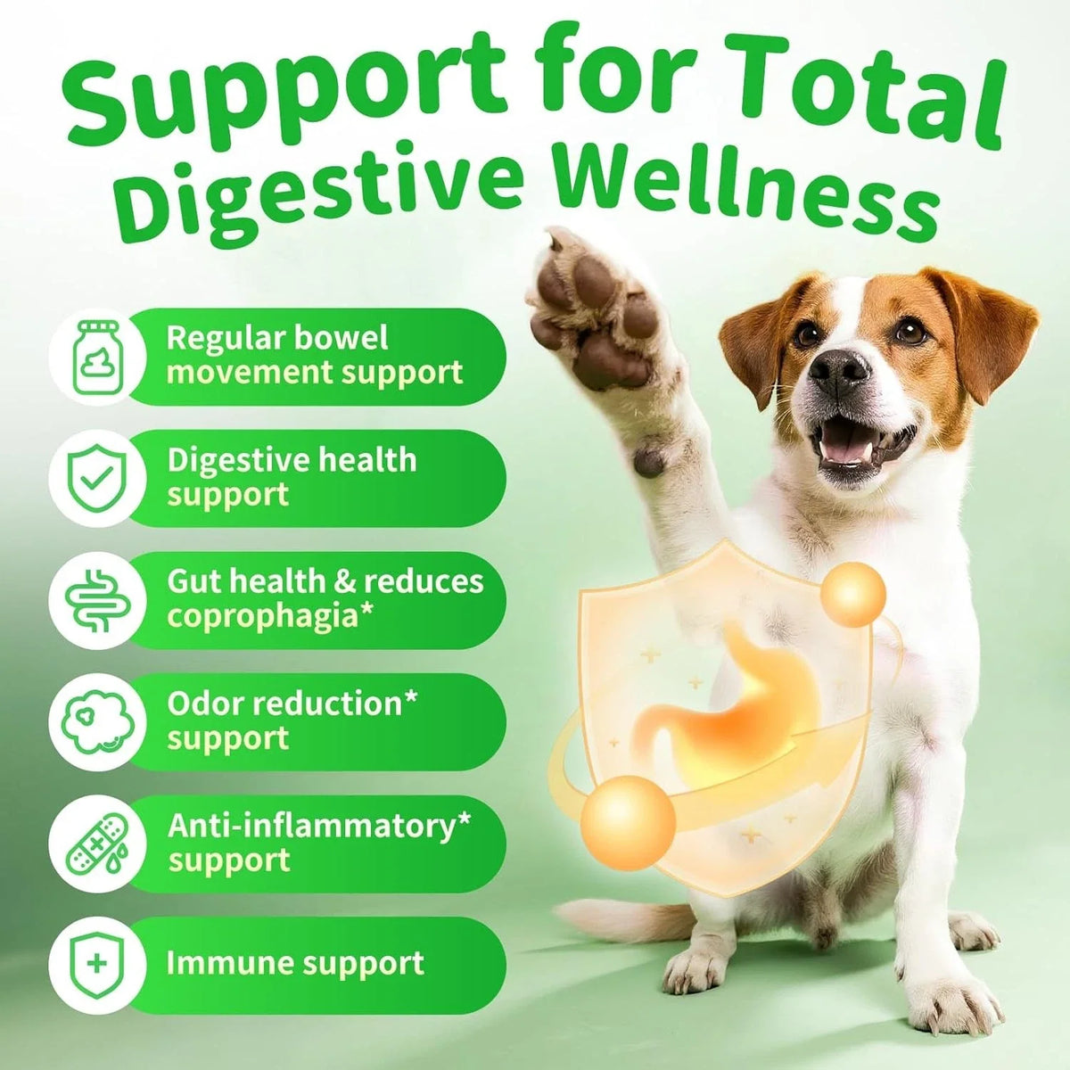 Dog Probiotics Digestive Enzymes,Pumpkin Fiber Chews For Gut Health, Constipatio