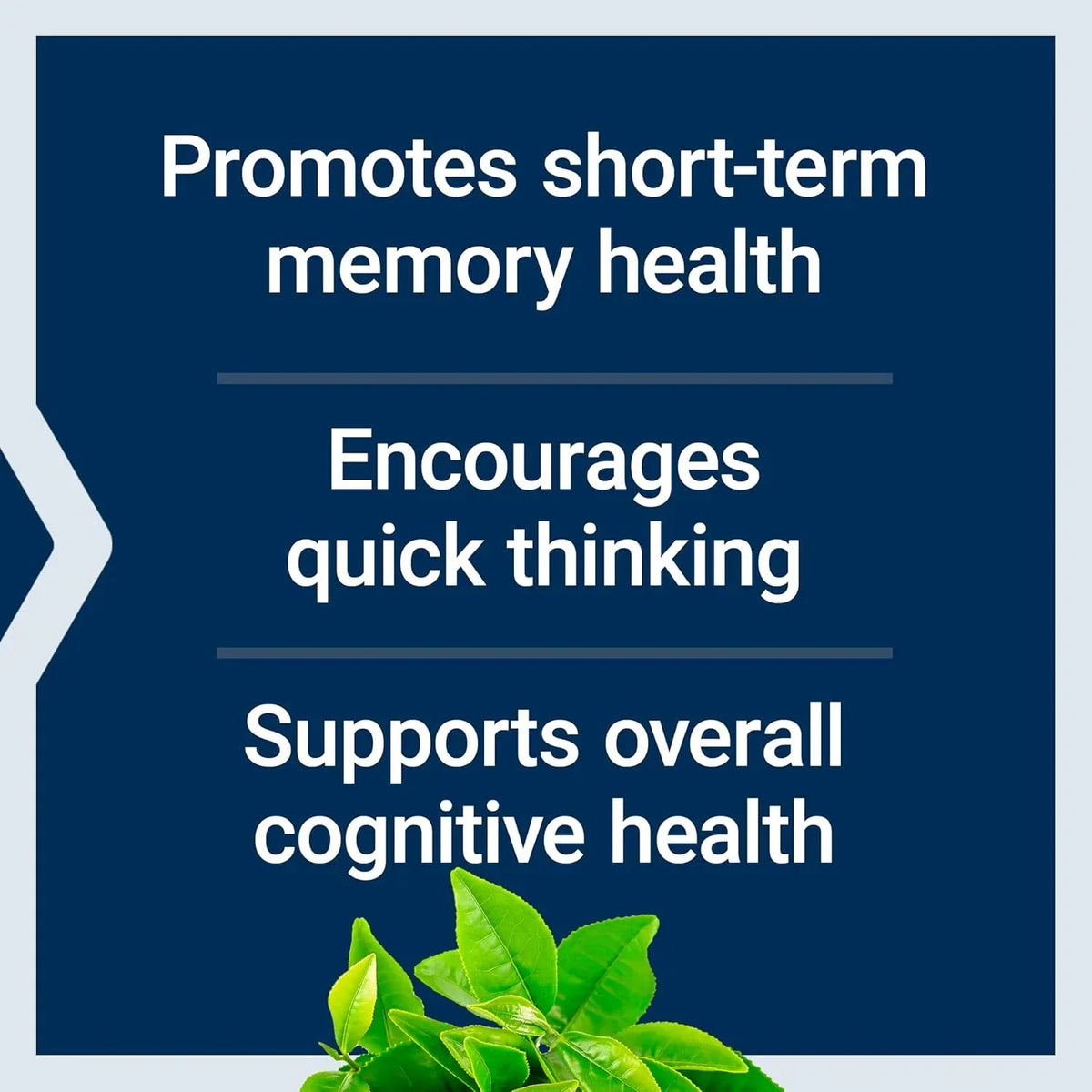 Life Extension Neuro-Mag Magnesium L-Threonate, Memory Health, Quick Thinking, C