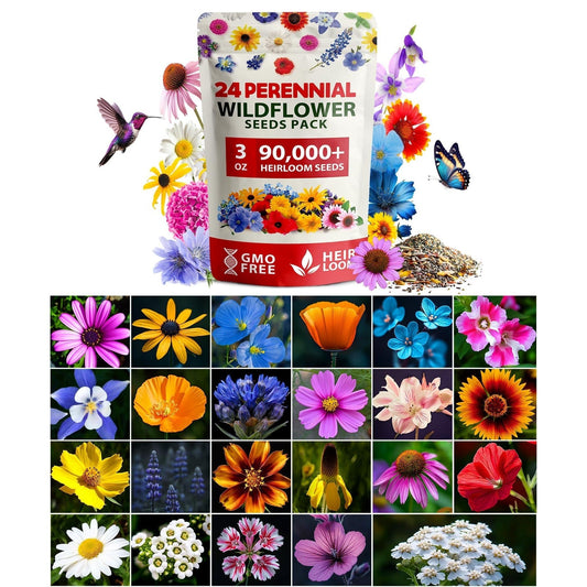 North American Wildflower Seed Mix - 24 Varieties (3 oz)