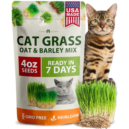 Cat Grass Seeds Bulk