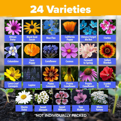 North American Wildflower Seed Mix - 24 Varieties (3 oz)