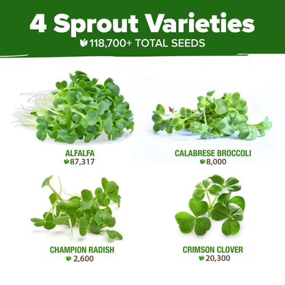 Sprouts and Microgreens Seeds Bulk Mix (16oz)