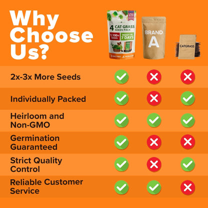 Cat Grass Seed Pack - 4 Varieties - USA-Harvested