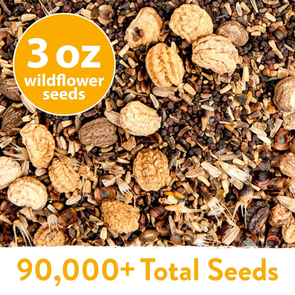 North American Wildflower Seed Mix - 24 Varieties (3 oz)