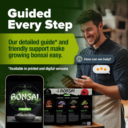 Bonsai Tree Grow Kit
