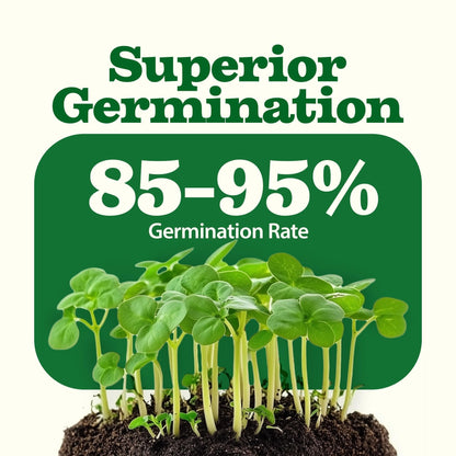 Heirloom Vegetable Seeds - (55 Variety)