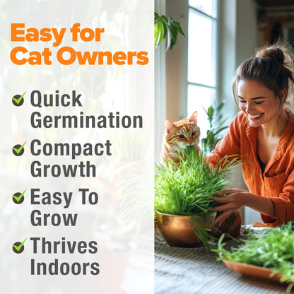 Cat Grass Seeds Bulk