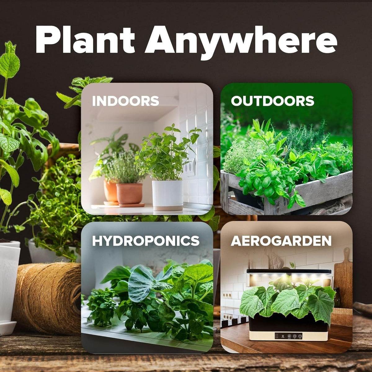 Heirloom Vegetable Seeds - (20 Variety)