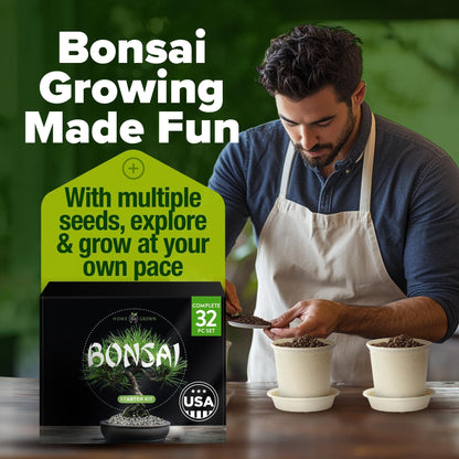 Bonsai Tree Grow Kit