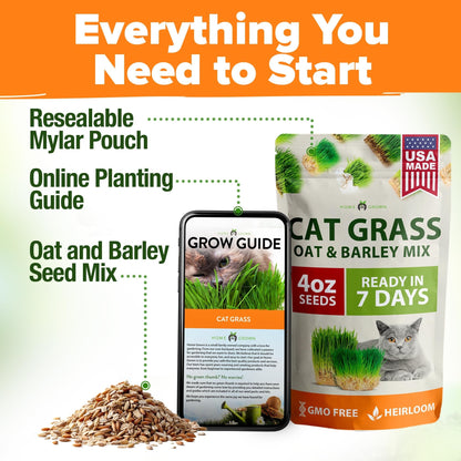 Cat Grass Seeds Bulk
