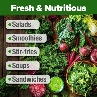 Lettuce and Leafy Greens Seeds - (8 Variety)