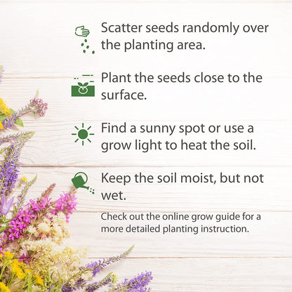 Perennial Wildflower Seed Mix - 18 Varieties (3 oz) - No Filler