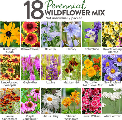Perennial Wildflower Seed Mix - 18 Varieties (3 oz) - No Filler