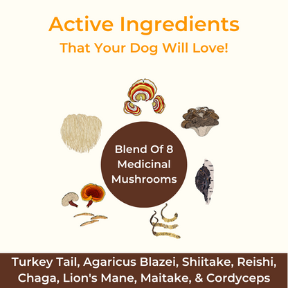 Petsmont Buddy Guard™ Organic Mushroom Powder for Dogs & Cats – Daily Immune Support Supplement with 9 Functional Mushrooms