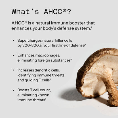 Kinoko Platinum AHCC 750mg – Acylated Alpha-Glucan Immune Support Supplement, 60 Vegicaps