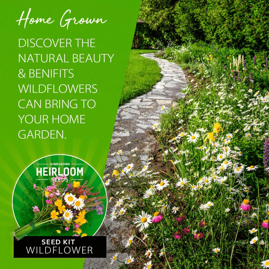 Perennial Wildflower Seed Mix - 18 Varieties (3 oz) - No Filler