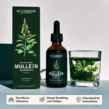 BetterLungs Mullein + Chlorophyll Drops – Alcohol-Free Herbal Tincture, 60ml, 30-Day Supply