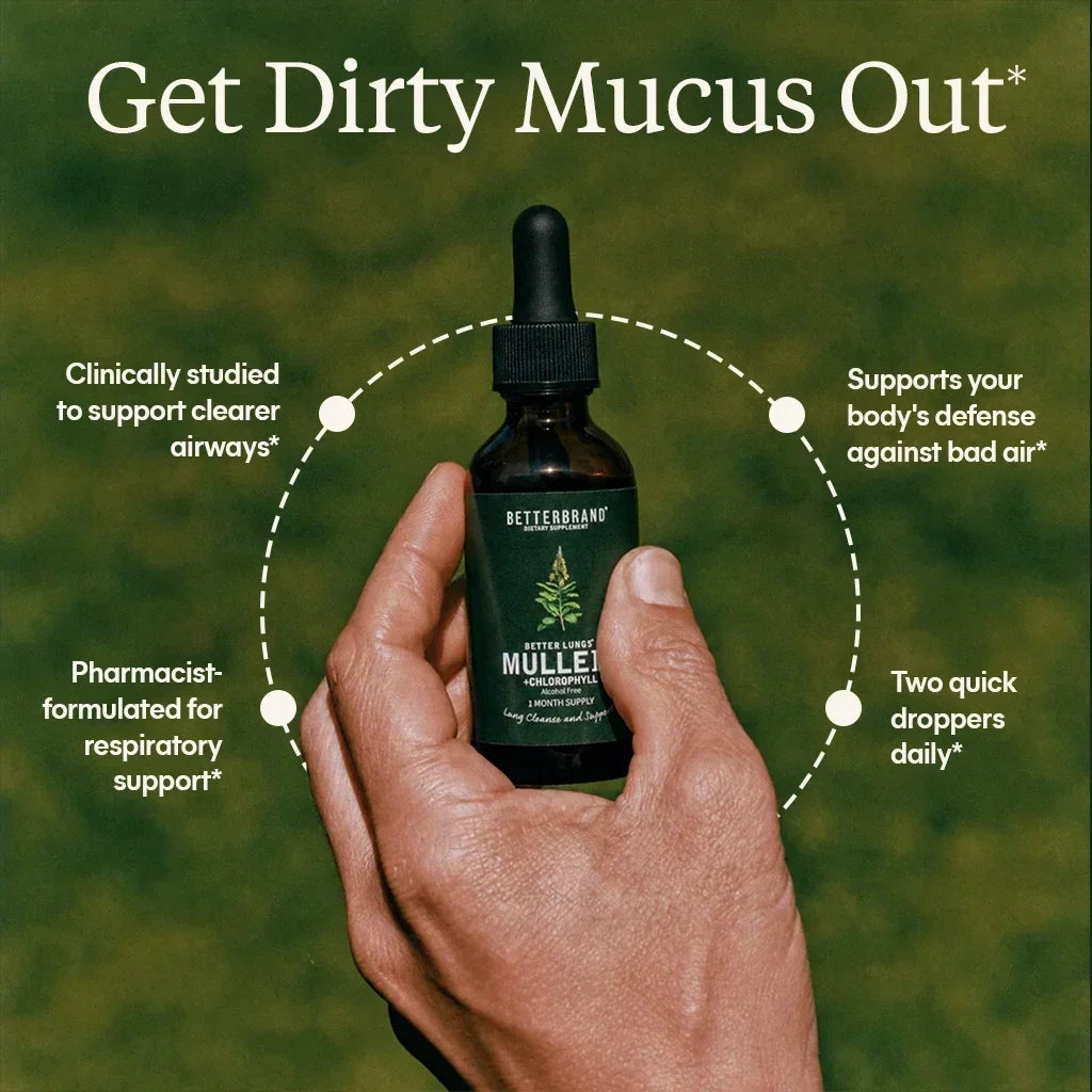 BetterLungs Mullein + Chlorophyll Drops – Alcohol-Free Herbal Tincture, 60ml, 30-Day Supply