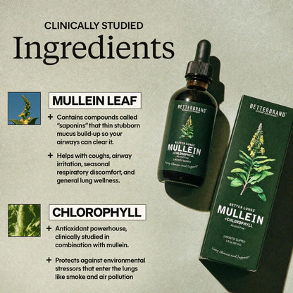 BetterLungs Mullein + Chlorophyll Drops – Alcohol-Free Herbal Tincture, 60ml, 30-Day Supply