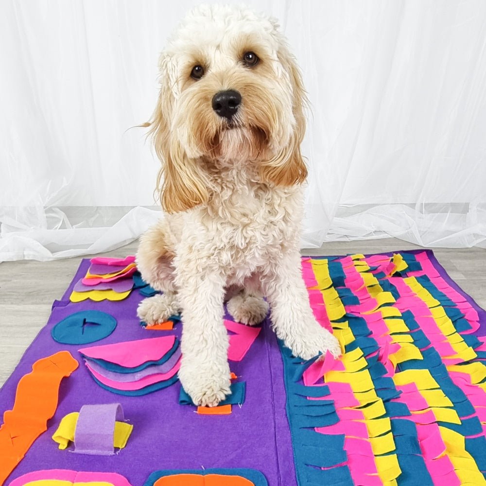 Dog Snuffle Mat for Treats & Dry Food – Foldable Interactive Foraging Mat for Dogs