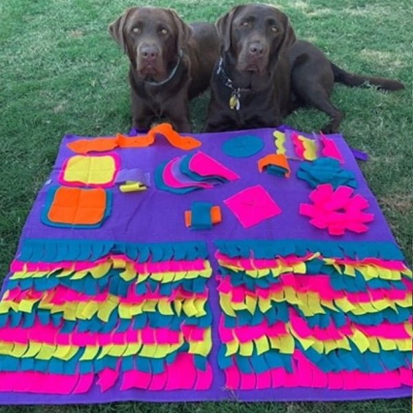 Dog Snuffle Mat for Treats & Dry Food – Foldable Interactive Foraging Mat for Dogs