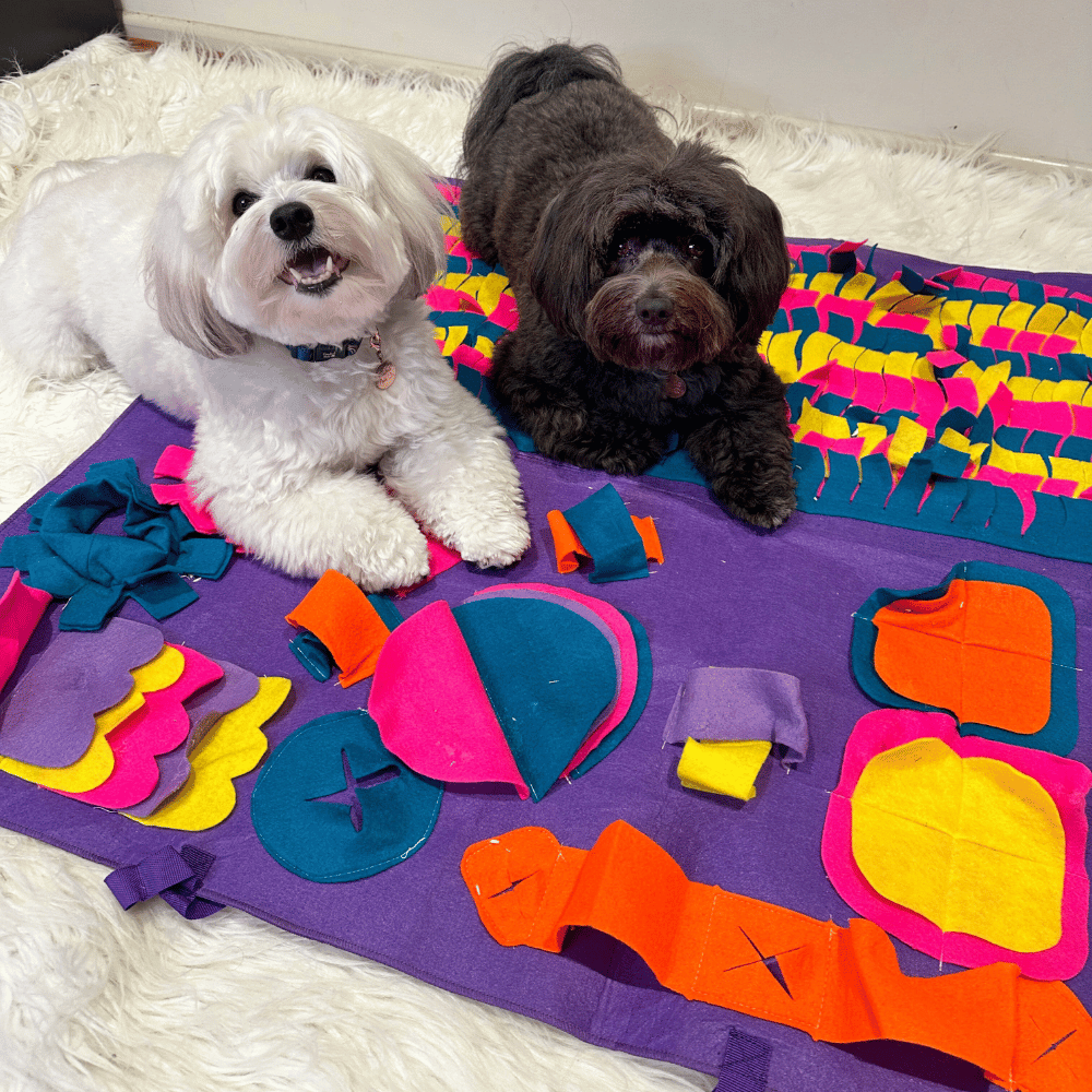Dog Snuffle Mat for Treats & Dry Food – Foldable Interactive Foraging Mat for Dogs