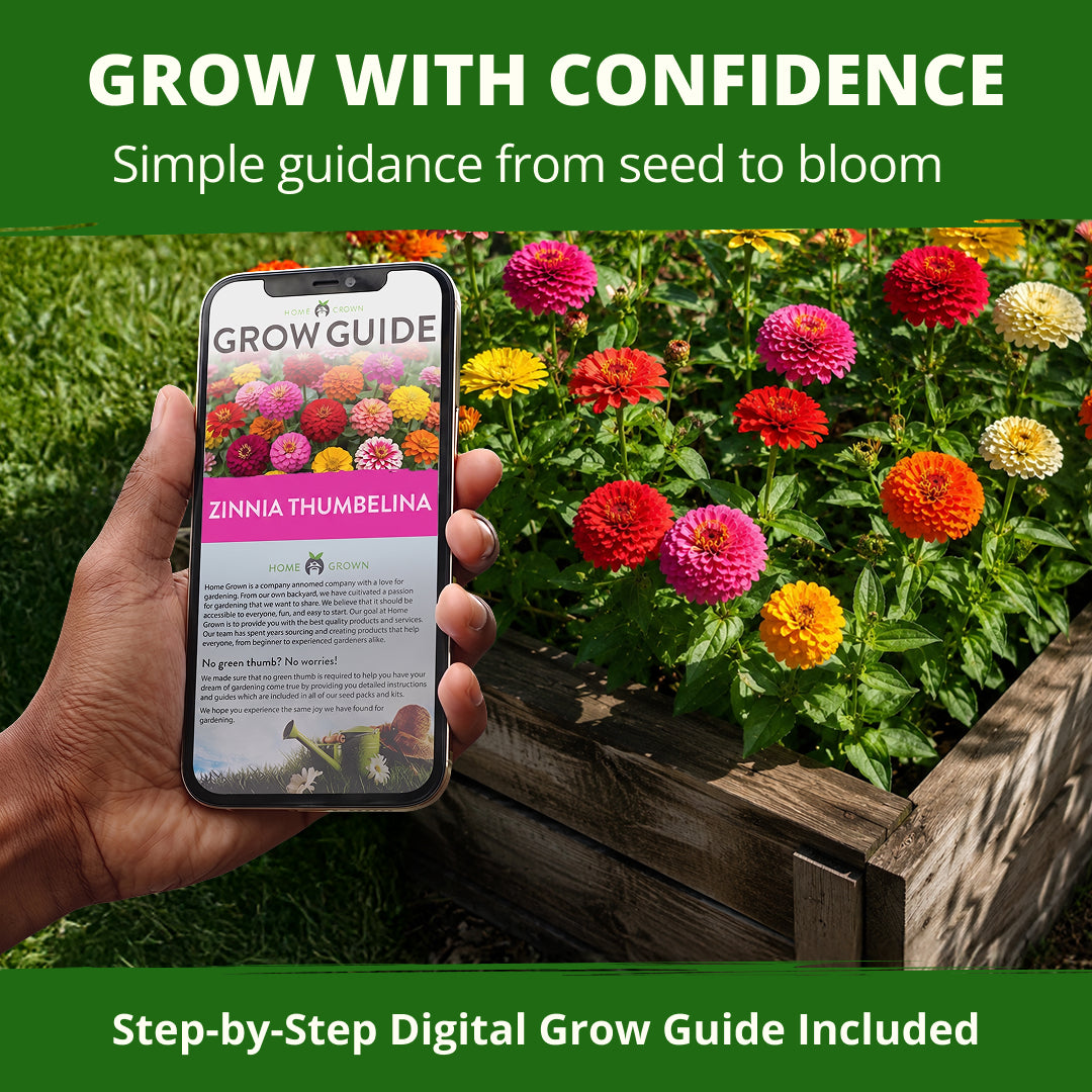 Thumbelina Dwarf Zinnia Seeds - 3,000 Seeds (14g) - Dwarf Patio Blooms