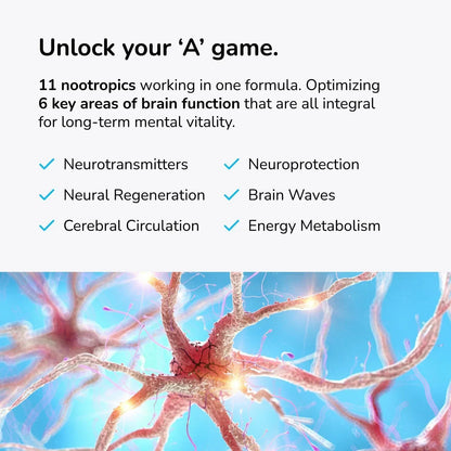 Nootropic Brain Booster Supplement 60 Count Plant Based Memory Vitamins Mind