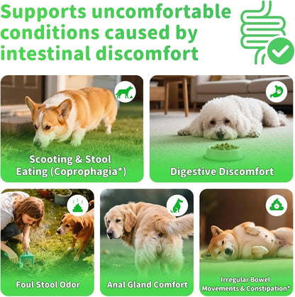 Dog Probiotics Digestive Enzymes,Pumpkin Fiber Chews For Gut Health, Constipatio